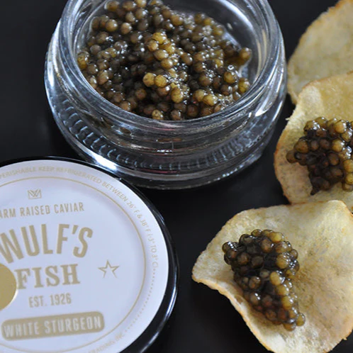 Wulf's California White Sturgeon - Image 3